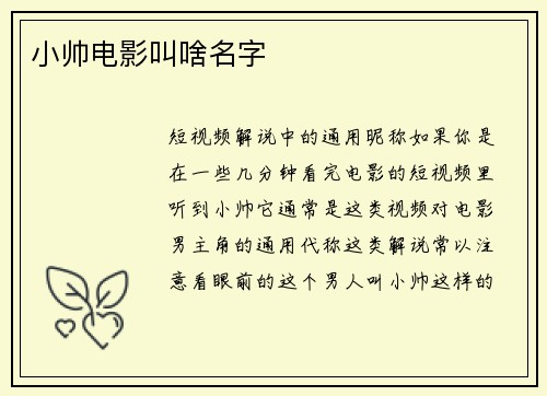 小帅电影叫啥名字